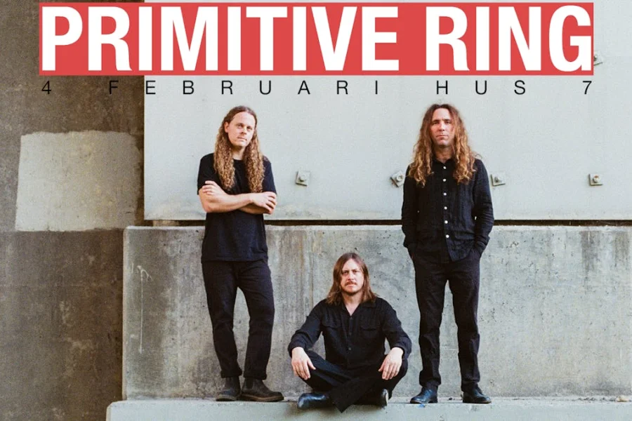 Primitive Ring | Hus 7