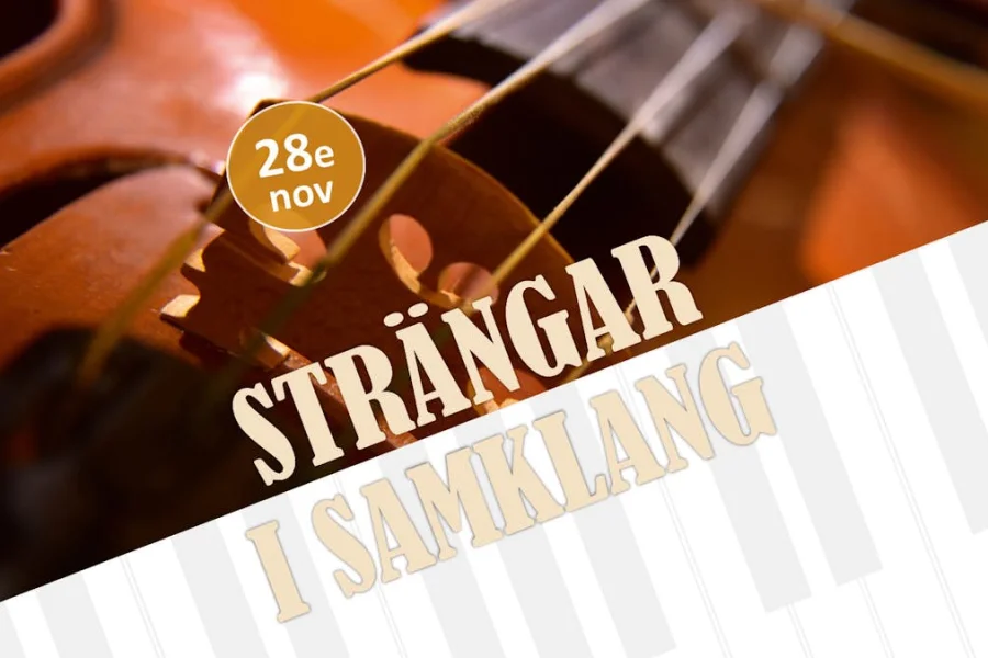 Kammarkonsert: Strängar i samklang