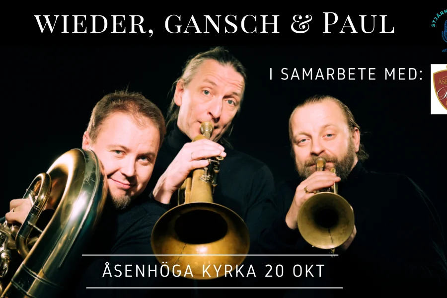 Wieder, Gansch & Paul