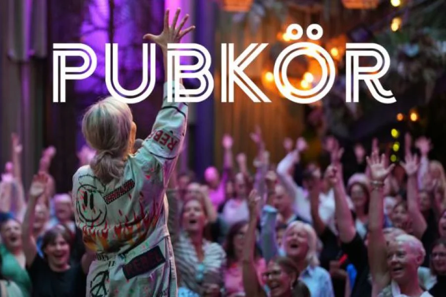 Pubkör