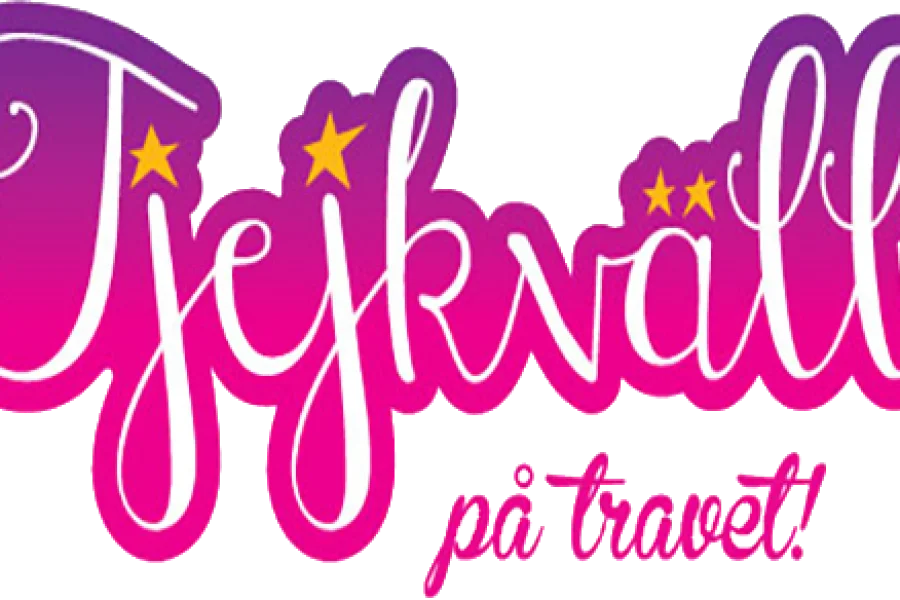Tjejkväll 2026