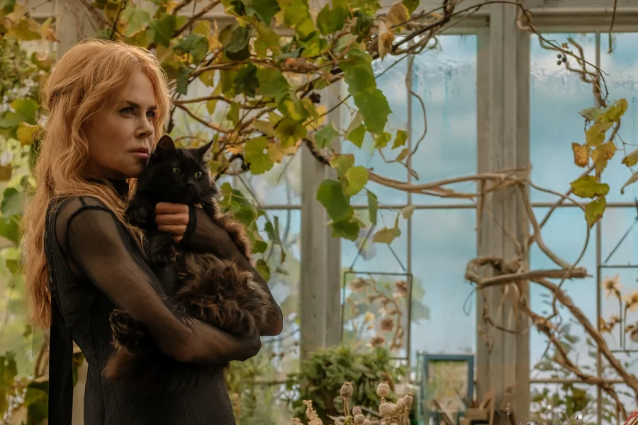 Practical Magic: Family Legacy