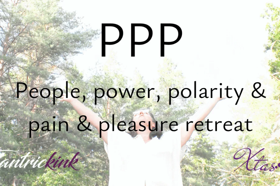 PPP – Power, Polarity, Pain & Pleasure