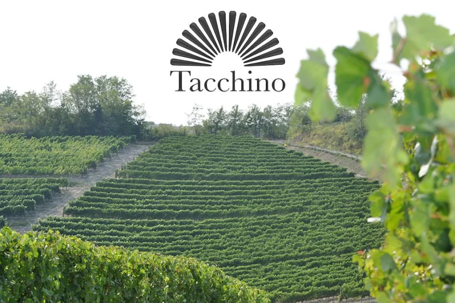 Mingelprovning med Tacchino