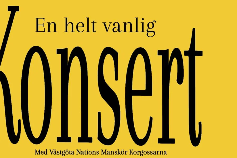 En helt vanlig konsert