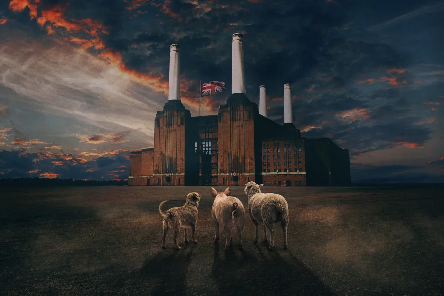 Brit Floyd - Animals 50