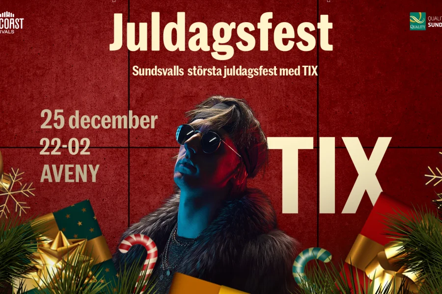 Juldagsfest med TIX
