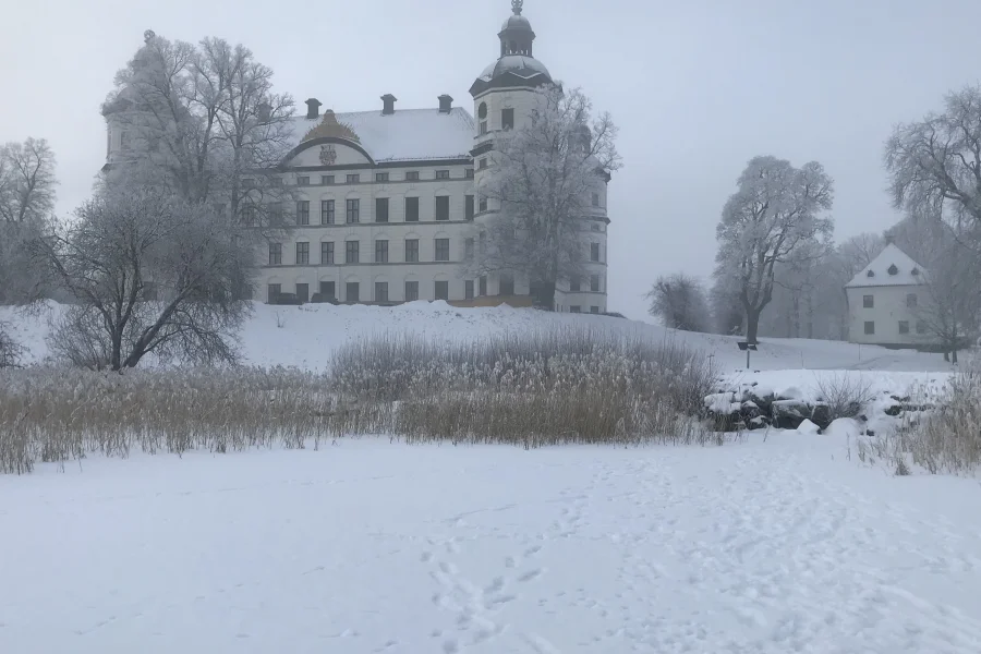 Digitalt föredrag: Vinter och jul med familjen Wrangel