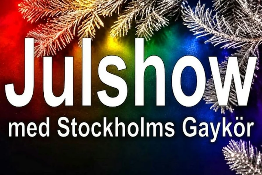 Julshow med Stockholms Gaykör