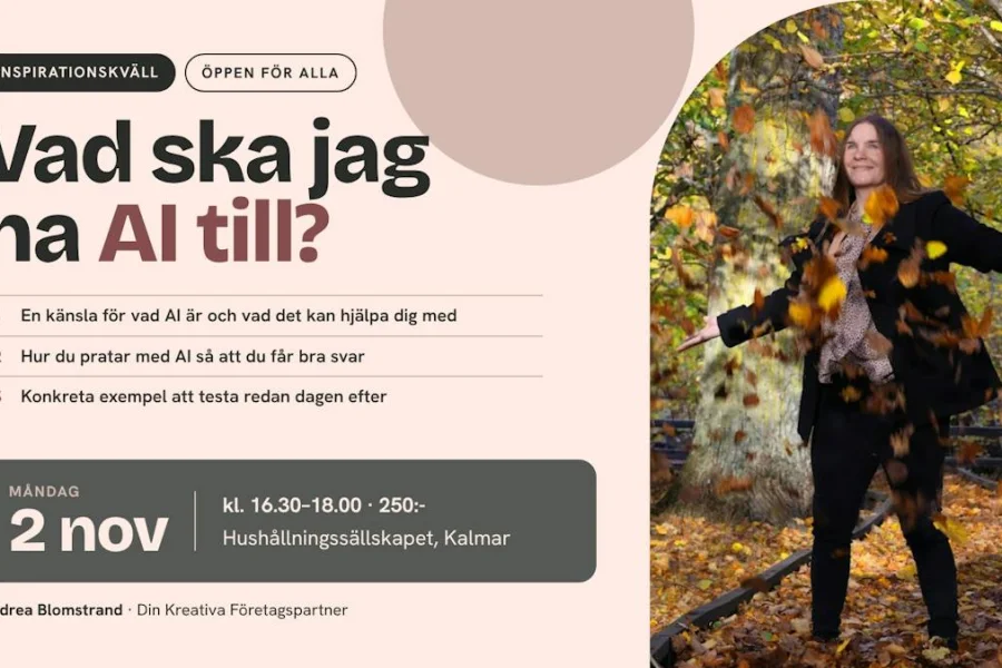 Inspirationsföreläsning: Vad ska jag ha AI till?