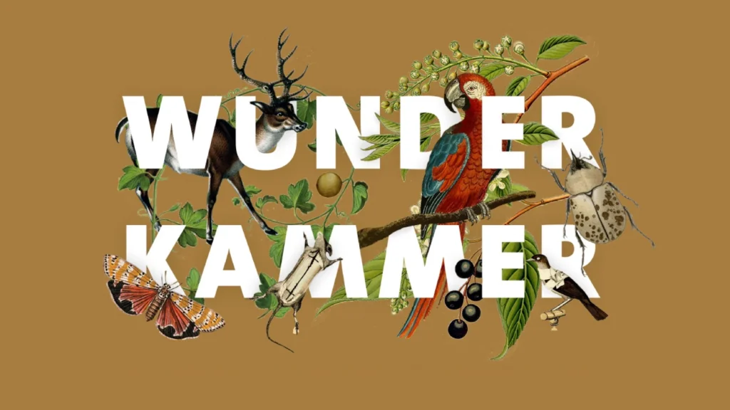 Wunderkammer: En utställning och tävling i uppstoppning