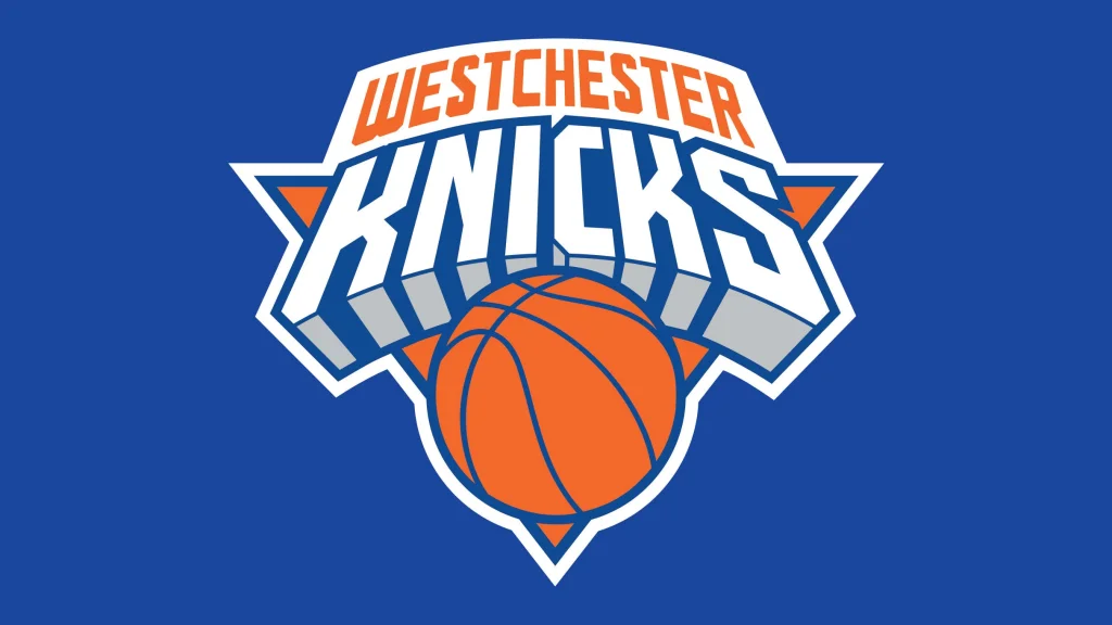Westchester Knicks mot Greensboro Swarm