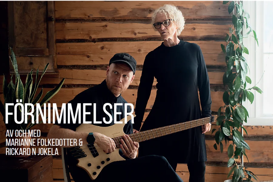 Förnimmelser