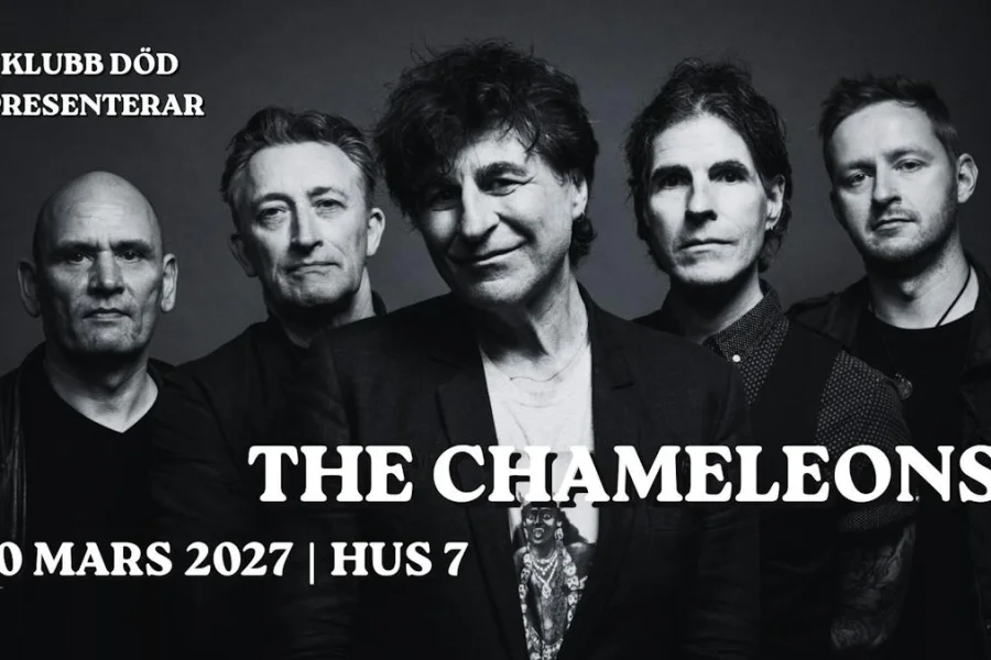 The Chameleons