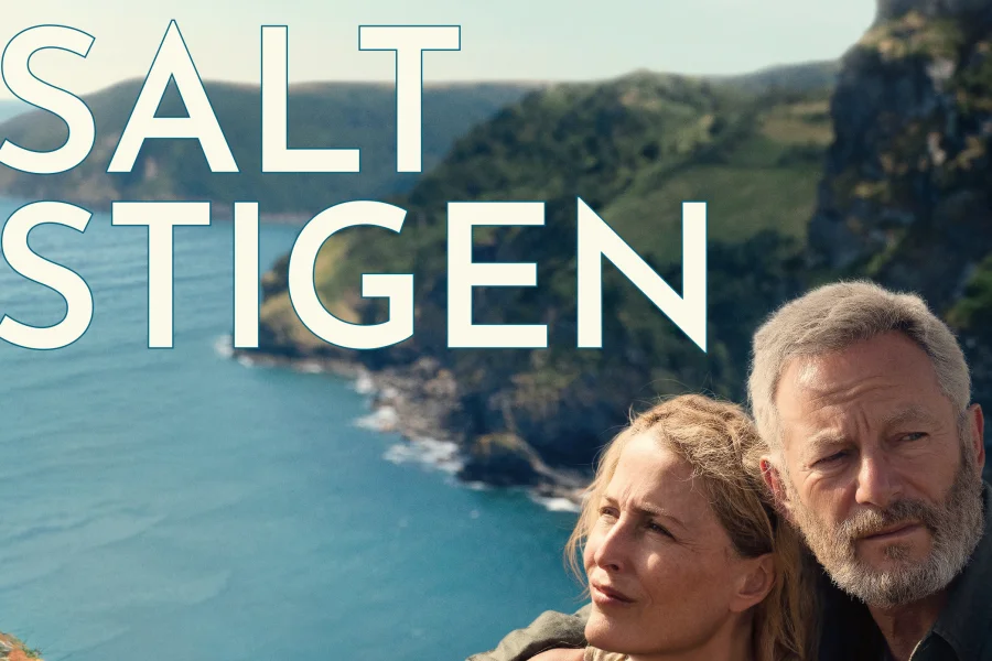 Saltstigen