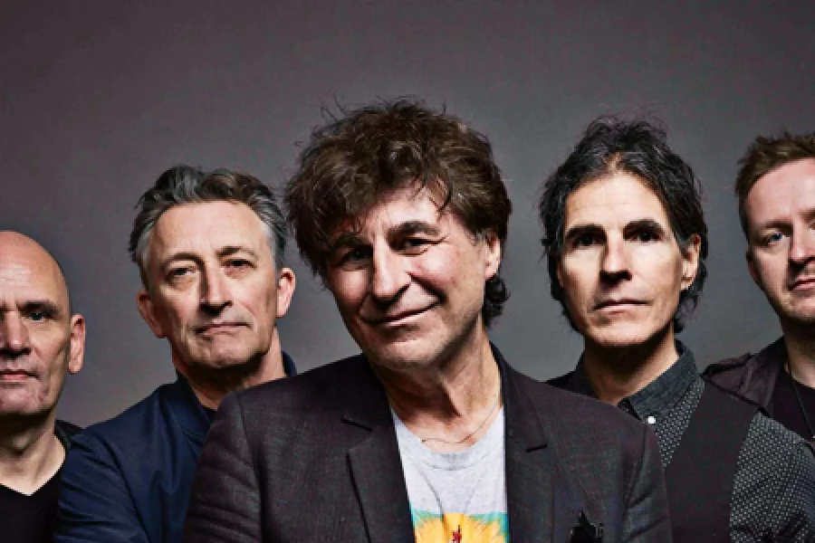 The Chameleons