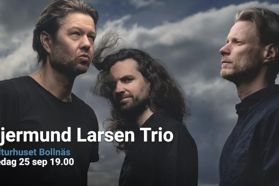 Gjermund Larsen Trio