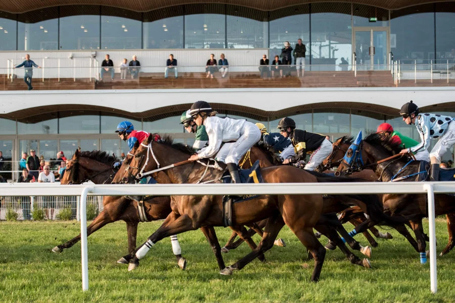 Lördagsgalopp på Bro Park