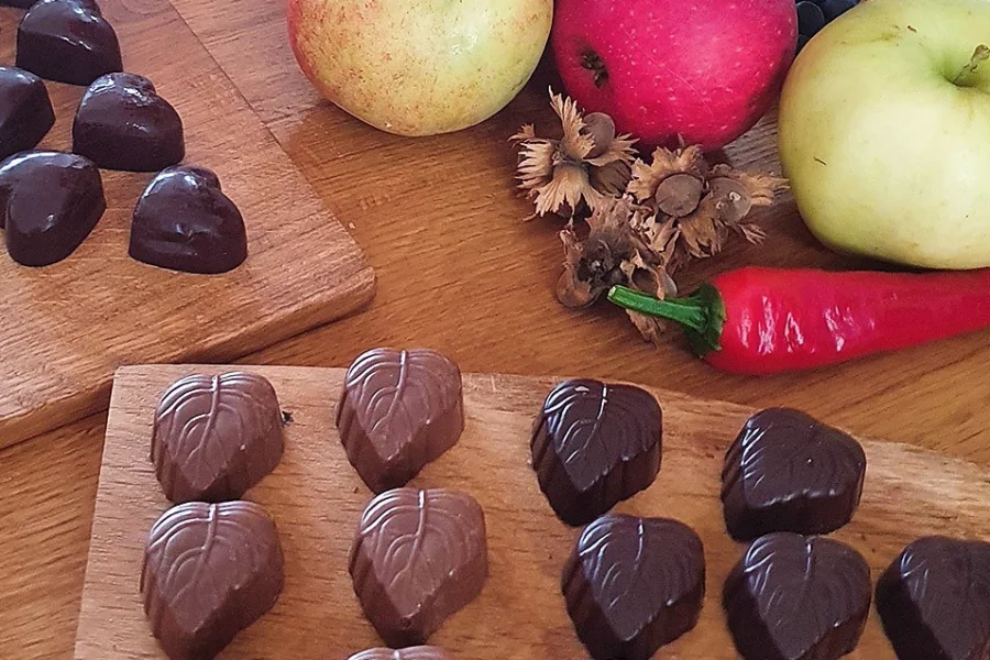 Chokladprovning med Skokloster Choklad