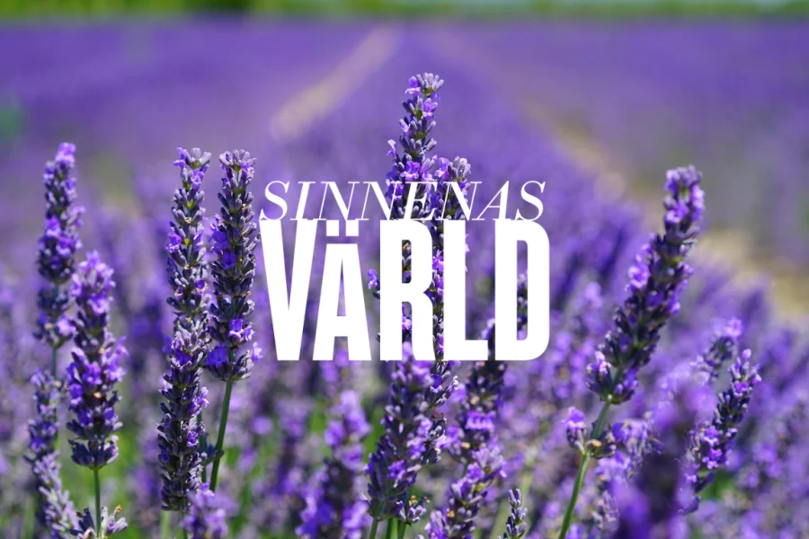 Med doft av lavendel