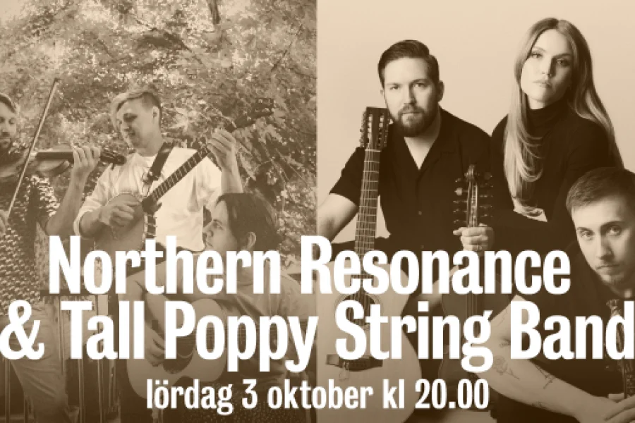 Northern Resonance & Tall Poppy Stringband