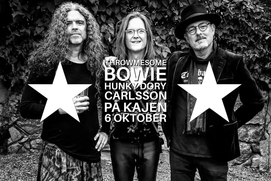 TMS BOWIE – Hunky Dory