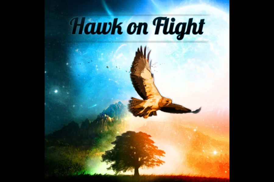 Hawk on Flight
