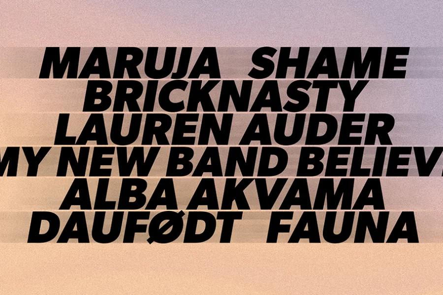 Another Festival 2026