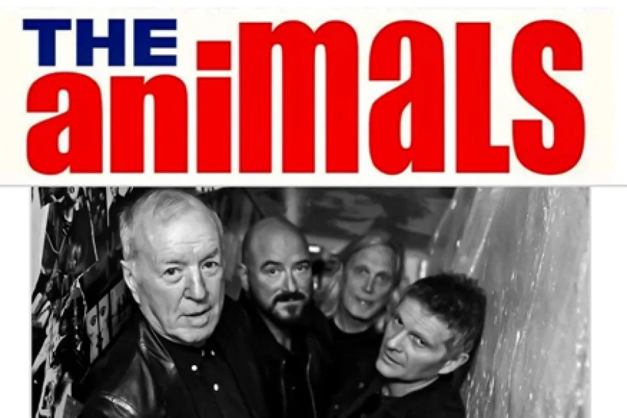 The Animals