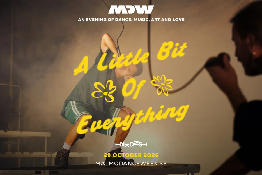 A Little Bit of Everything - Performance & Art