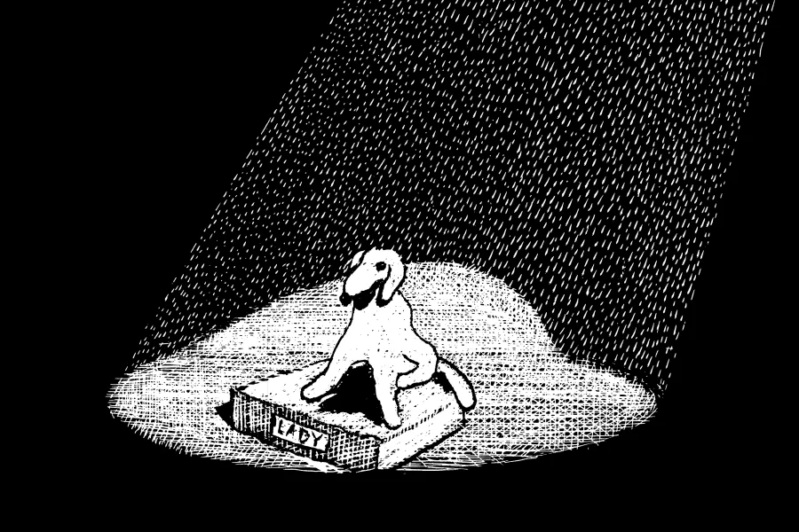Genrep: En uppstoppad hund