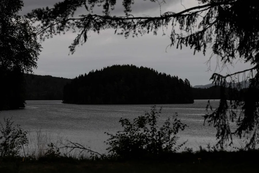Häxprocessernas utbrottsskede i Älvdalen