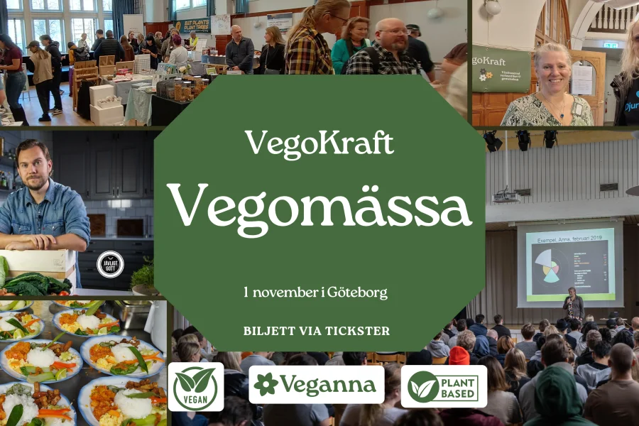 VegoKraft Vegomässa