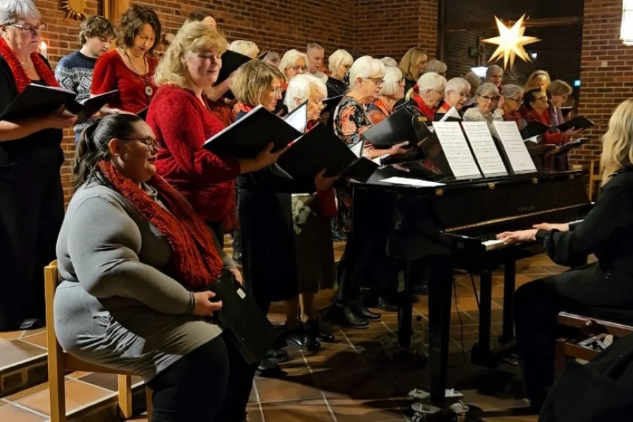 Vi sjunger in julen