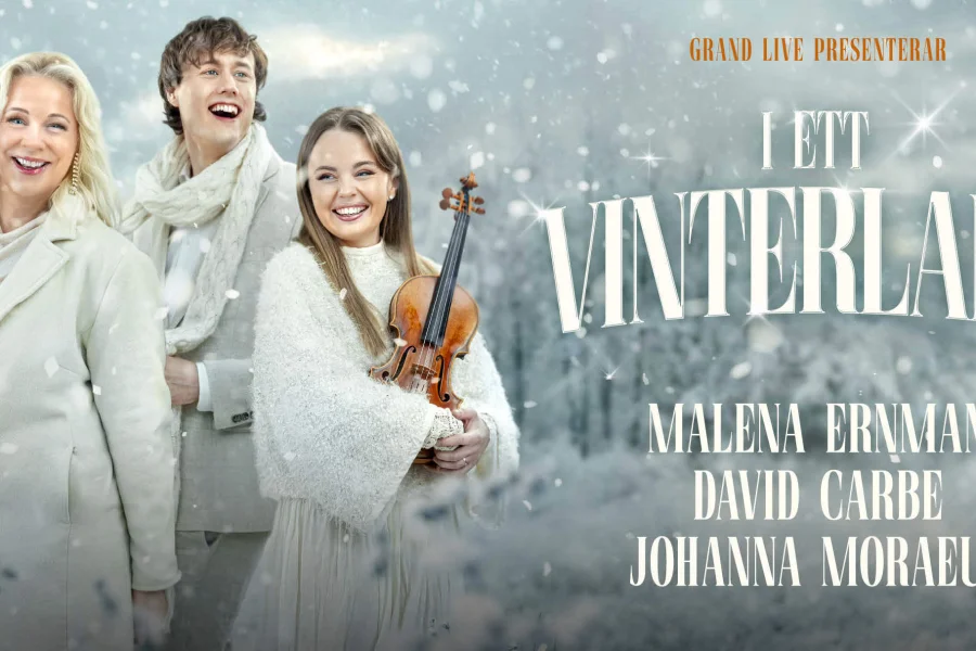 I ett vinterland