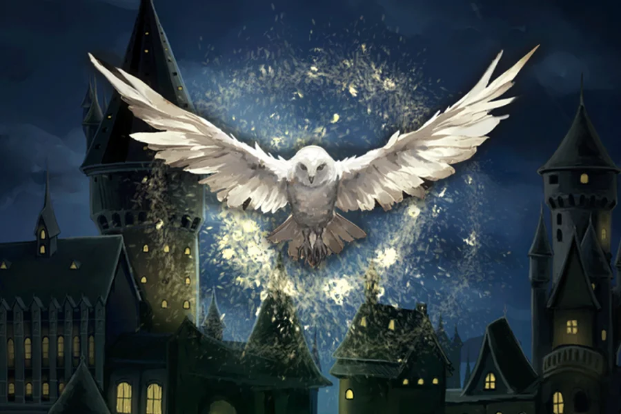 Hogwarts Magic Symphony