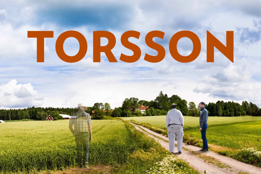 Torsson – Att vilja men inte kunna