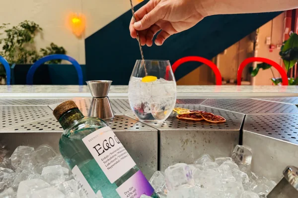 Gin & Tonic Workshop Ego Distillers för två