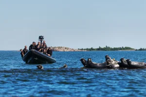 RIB-safari för två