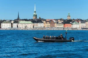 ribbåt