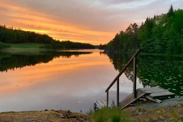 Stockholm: Solnedgångsvandring i Tyresta nationalpark med måltid