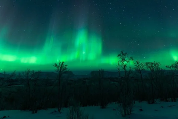 Kiruna norrskenstur med fotograf