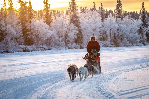 Polar Sunrise Eco Experience (10:00-13:00- kör släden)