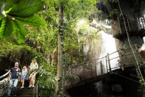Göteborg Universeum biljett - Akvarium, Vetenskap, Djurliv, Djurpark