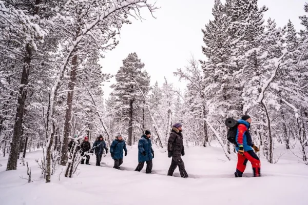 Snöskor i en vinterskog