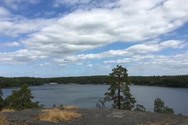 Stockholm Vandringstur: Utforska Hellasgården & skogsstigar