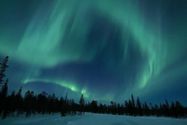 Snöskoter Aurora Expedition med middag