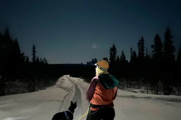 Kiruna: Privat snöskovandring & bastuupplevelse