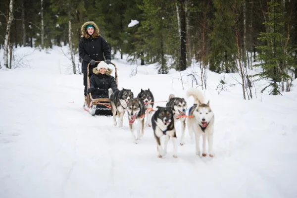 Hundspannsäventyr Kiruna