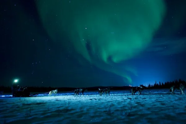 Aurora Borealis hundspannstur